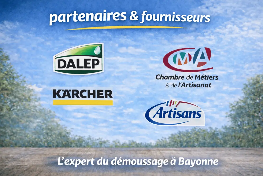 Artisan Nettoyage Démoussage Toiture Bayonne